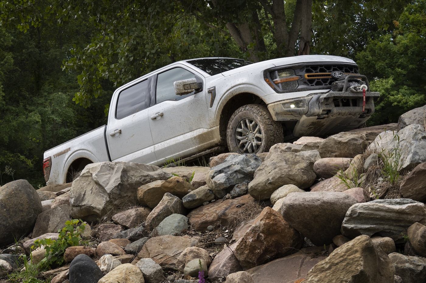 2025 Ford F-150 (JC Lewis)